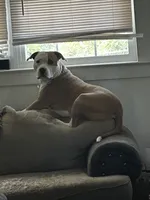 processed/33588b27-5ef9-480d-839f-b7f4ab0afa64/listing/f937150e-c647-43b2-9e5a-bb333647c716/ddf7440c-c165-41cd-b85f-9509ff0f1d68