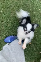 processed/335d4107-e465-4809-a9c5-8e90d3349c8e/listing/2ea7f841-c83e-42d4-ae09-e6d5ce0447e3/2fc8afe3-a8b8-460e-bf0a-24d162df3a9c