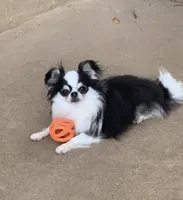 processed/335d4107-e465-4809-a9c5-8e90d3349c8e/listing/2ea7f841-c83e-42d4-ae09-e6d5ce0447e3/4a8b1e1e-5e22-4a83-854a-0ebbdceaa318