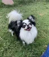 processed/335d4107-e465-4809-a9c5-8e90d3349c8e/listing/2ea7f841-c83e-42d4-ae09-e6d5ce0447e3/68b0a849-e51d-485e-b578-a6e7b54790a0