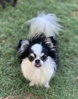 processed/335d4107-e465-4809-a9c5-8e90d3349c8e/listing/2ea7f841-c83e-42d4-ae09-e6d5ce0447e3/97f68c74-8e52-410d-8f4f-2bed8ba4ed72