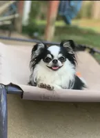 processed/335d4107-e465-4809-a9c5-8e90d3349c8e/listing/2ea7f841-c83e-42d4-ae09-e6d5ce0447e3/a6f639a9-0b22-437c-9660-a319d0e12aa2