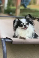 processed/335d4107-e465-4809-a9c5-8e90d3349c8e/listing/2ea7f841-c83e-42d4-ae09-e6d5ce0447e3/c5f26800-8a52-4d8b-a97d-865ff226e869