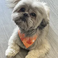 processed/335f8b2b-316c-478f-84ea-25af5baf06b4/facility/0d792acf-d166-4979-98eb-0022c527b718