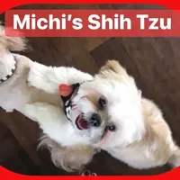 processed/335f8b2b-316c-478f-84ea-25af5baf06b4/facility/284a4dd9-992d-4969-ad43-f54c3e77ba1e