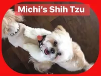 processed/335f8b2b-316c-478f-84ea-25af5baf06b4/facility/284a4dd9-992d-4969-ad43-f54c3e77ba1e