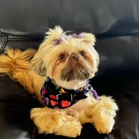 processed/335f8b2b-316c-478f-84ea-25af5baf06b4/facility/37acc0e1-8372-4021-8039-fdc05a06f72f