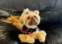 processed/335f8b2b-316c-478f-84ea-25af5baf06b4/facility/37acc0e1-8372-4021-8039-fdc05a06f72f