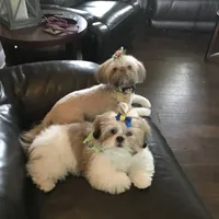 processed/335f8b2b-316c-478f-84ea-25af5baf06b4/facility/3a9e70a2-df4b-4b3c-b54f-f68f0a12ca4f