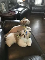 processed/335f8b2b-316c-478f-84ea-25af5baf06b4/facility/3a9e70a2-df4b-4b3c-b54f-f68f0a12ca4f