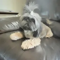 processed/335f8b2b-316c-478f-84ea-25af5baf06b4/facility/3b76087f-c8be-4a82-b094-3b070c17f82b