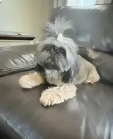 processed/335f8b2b-316c-478f-84ea-25af5baf06b4/facility/3b76087f-c8be-4a82-b094-3b070c17f82b