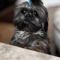 processed/335f8b2b-316c-478f-84ea-25af5baf06b4/facility/41b08958-8b55-4f8f-ae77-1327be1db2dc