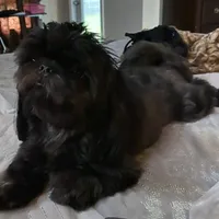 processed/335f8b2b-316c-478f-84ea-25af5baf06b4/facility/68126827-a7d0-4b7b-b6f9-944daca19250