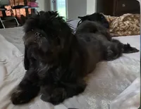 processed/335f8b2b-316c-478f-84ea-25af5baf06b4/facility/68126827-a7d0-4b7b-b6f9-944daca19250