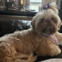 processed/335f8b2b-316c-478f-84ea-25af5baf06b4/facility/c558b0e4-bc5e-45eb-b39d-288fa7e6c5e9