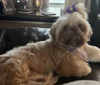 processed/335f8b2b-316c-478f-84ea-25af5baf06b4/facility/c558b0e4-bc5e-45eb-b39d-288fa7e6c5e9