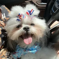 processed/335f8b2b-316c-478f-84ea-25af5baf06b4/facility/c72ec4c4-9815-4835-a126-d72df940e1bf