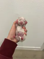 processed/335fdd2f-c95b-4b6d-aad2-8e4f4a3869e8/facility/609174b2-03ef-429d-a299-ce8e20f1781e