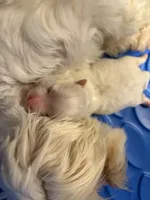 processed/335fdd2f-c95b-4b6d-aad2-8e4f4a3869e8/facility/72cf236d-b806-4d50-b1ea-2079ba1a4347