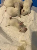 processed/335fdd2f-c95b-4b6d-aad2-8e4f4a3869e8/facility/95a6e730-8151-4226-aa42-07de5960416b