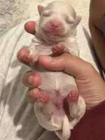 processed/335fdd2f-c95b-4b6d-aad2-8e4f4a3869e8/facility/cfa1652b-66da-4b73-8ca7-fe8aba9e53b6