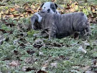 processed/335ffded-5815-4e69-a87b-997525f2bda4/listing/e78bbd58-c3fc-4305-8b83-3c25c8ac8790/0629cfae-834e-43db-b28d-5bd7070c9c2a