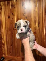 processed/335ffded-5815-4e69-a87b-997525f2bda4/listing/e78bbd58-c3fc-4305-8b83-3c25c8ac8790/8c8ab136-ae54-4573-a51d-f050a859a7f6