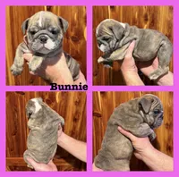 processed/335ffded-5815-4e69-a87b-997525f2bda4/listing/e78bbd58-c3fc-4305-8b83-3c25c8ac8790/9cf046ca-ad22-40d4-ba2c-d2450e510060