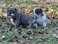 processed/335ffded-5815-4e69-a87b-997525f2bda4/listing/e78bbd58-c3fc-4305-8b83-3c25c8ac8790/bd4d20e6-9963-4309-befd-24641e74a7a7