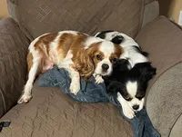 processed/336260d2-e15c-420d-bde1-7dc6da8f41a6/listing/7621e9d9-73d6-4a8c-8dc2-9e31a479a08b/0d2c18e3-f903-43ff-bd33-e6d068f741a7