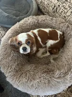 processed/336260d2-e15c-420d-bde1-7dc6da8f41a6/listing/7621e9d9-73d6-4a8c-8dc2-9e31a479a08b/24232c89-742b-48a4-894b-a036fae0a753