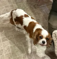 processed/336260d2-e15c-420d-bde1-7dc6da8f41a6/listing/7621e9d9-73d6-4a8c-8dc2-9e31a479a08b/8cc43770-5053-4e3c-b111-cae9d56b2122