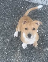 processed/33690ae3-f025-4dab-9280-c3c7e8ff84fe/listing/c668d4df-6833-47bb-b5b3-2fef7d90dd43/443c45ea-5491-449d-bc84-f43e7b0bbd6c