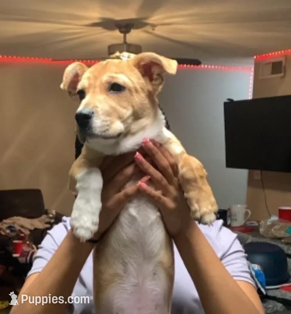 processed/33690ae3-f025-4dab-9280-c3c7e8ff84fe/listing/c668d4df-6833-47bb-b5b3-2fef7d90dd43/c3a2d215-9eaa-4e87-b77a-141acbb25745