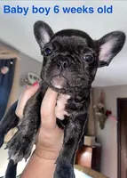 processed/337cb86e-9d56-4166-9787-ef76ac227e5a/facility/6d2fda26-d796-4b1a-a886-8dfa4e2c9513