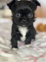 processed/3395ca40-73e7-489a-9325-ef2fa1de27b8/listing/632855e0-b3a5-4ef8-a8fd-c6c2ec2aeef9/1e016289-cc05-4282-9490-033c366b29f0