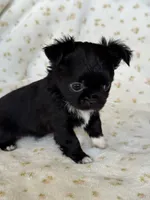 processed/3395ca40-73e7-489a-9325-ef2fa1de27b8/listing/632855e0-b3a5-4ef8-a8fd-c6c2ec2aeef9/598b13f0-9afb-4df6-80cf-a0b1b5747cb3