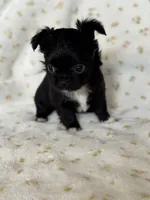 processed/3395ca40-73e7-489a-9325-ef2fa1de27b8/listing/632855e0-b3a5-4ef8-a8fd-c6c2ec2aeef9/61861dc6-ff11-4667-9dd1-3c60856b8022