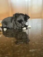 processed/3395ca40-73e7-489a-9325-ef2fa1de27b8/listing/632855e0-b3a5-4ef8-a8fd-c6c2ec2aeef9/84f8d301-f0d0-46bc-bc8c-7ae1bdd3dfae