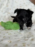 processed/3395ca40-73e7-489a-9325-ef2fa1de27b8/listing/632855e0-b3a5-4ef8-a8fd-c6c2ec2aeef9/cfad1ad9-5f20-4b43-9b4f-6bf81fc33ce3