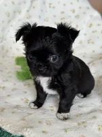 processed/3395ca40-73e7-489a-9325-ef2fa1de27b8/listing/632855e0-b3a5-4ef8-a8fd-c6c2ec2aeef9/ee3dae66-5cc2-40ce-8f84-ade7357674b3