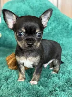 processed/3395ca40-73e7-489a-9325-ef2fa1de27b8/listing/79ba8ee5-1c18-4593-af9f-dad0202fc5f8/39a9fbd5-bd24-493c-b65b-a0555ec5df0a