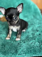 processed/3395ca40-73e7-489a-9325-ef2fa1de27b8/listing/79ba8ee5-1c18-4593-af9f-dad0202fc5f8/60adc42e-0d86-458d-bbdf-6ddd1058bd41