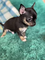 processed/3395ca40-73e7-489a-9325-ef2fa1de27b8/listing/79ba8ee5-1c18-4593-af9f-dad0202fc5f8/9d7a1a54-fce3-47f7-a0cb-9d8494b2c75a