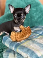 processed/3395ca40-73e7-489a-9325-ef2fa1de27b8/listing/79ba8ee5-1c18-4593-af9f-dad0202fc5f8/afccd534-bead-4823-8a0b-092024ebbe1f