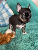 processed/3395ca40-73e7-489a-9325-ef2fa1de27b8/listing/79ba8ee5-1c18-4593-af9f-dad0202fc5f8/c41c2d15-f23f-4696-9ec1-dda19ff85690