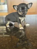 processed/3395ca40-73e7-489a-9325-ef2fa1de27b8/listing/79ba8ee5-1c18-4593-af9f-dad0202fc5f8/d8ebb71a-6353-4892-ad40-1513f9794d3c