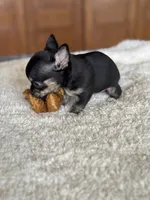 processed/3395ca40-73e7-489a-9325-ef2fa1de27b8/listing/79ba8ee5-1c18-4593-af9f-dad0202fc5f8/ff650798-074f-4d59-a135-fdcbae1dc051