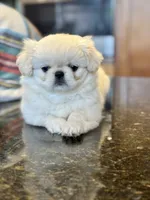 processed/3395ca40-73e7-489a-9325-ef2fa1de27b8/listing/f7c37523-d8a9-4139-972c-60779fede92d/0360a18d-3e0b-41ff-bed5-c69f98b26a49